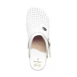 Scholl férfi papucs - F200781065