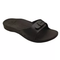 Scholl férfi papucs - F254951004