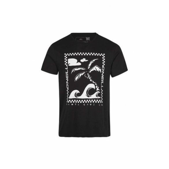 Oneill Fin T-Shirt FÃ©rfi póló - SM-2850120-19010