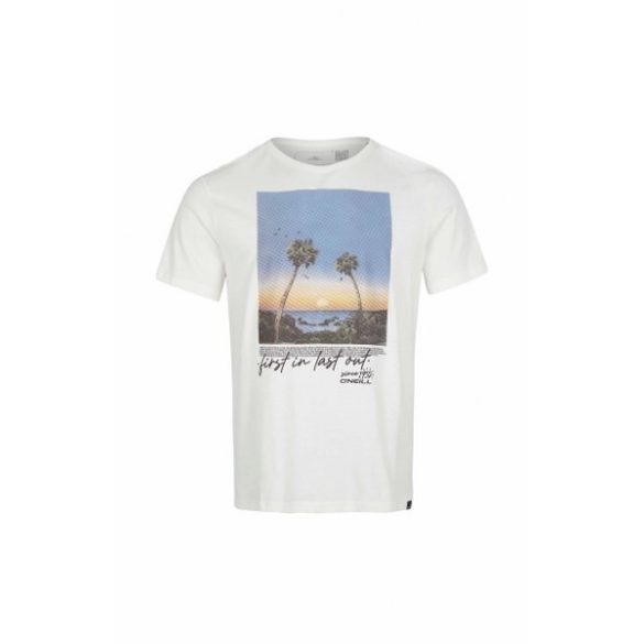 Oneill Loren T-Shirt FÃ©rfi póló - SM-2850123-11010