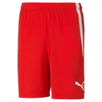 Puma teamLIGA Shorts Férfi rövidnadrág - SM-704924-01