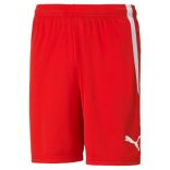 Puma teamLIGA Shorts Férfi rövidnadrág - SM-704924-01