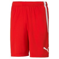 Puma teamLIGA Shorts Férfi rövidnadrág - SM-704924-01