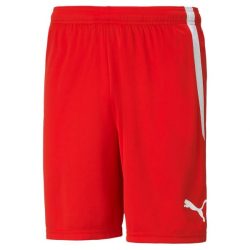 Puma teamLIGA Shorts Férfi rövidnadrág - SM-704924-01