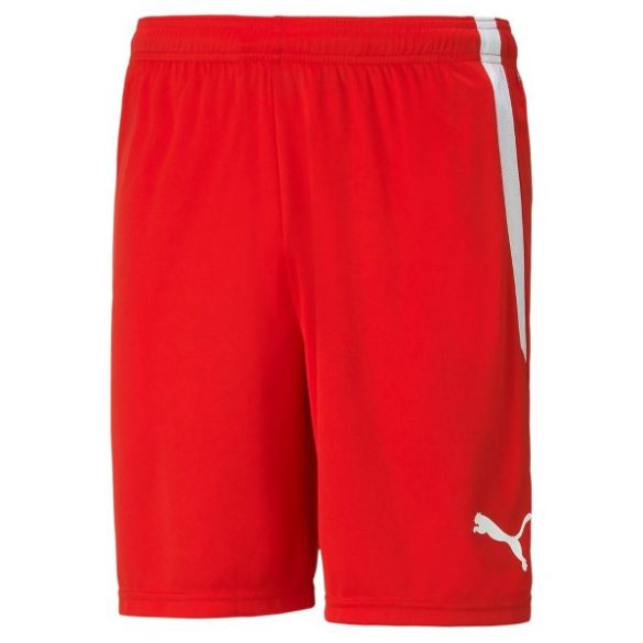 Puma Teamliga Shorts Férfi rövidnadrág - SM-704924-01