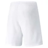 Puma teamRISE Short Férfi rövidnadrág - SM-704942-03