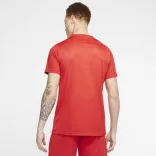 Nike NIKE DRI-FIT PARK VII MEN"S SO Férfi póló - SM-BV6708-657