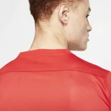 Nike NIKE DRI-FIT PARK VII MEN"S SO Férfi póló - SM-BV6708-657