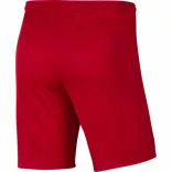 Nike NIKE DRI-FIT PARK III MEN"S SO Férfi rövidnadrág - SM-BV6855-657