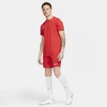 Nike NIKE DRI-FIT PARK III MEN"S SO Férfi rövidnadrág - SM-BV6855-657