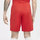 Nike NIKE DRI-FIT PARK III MEN"S SO Férfi rövidnadrág - SM-BV6855-657